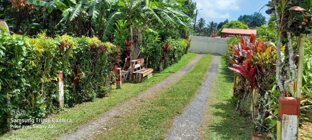 Maison Familiale Authentique Villa Capesterre-Belle-Eau Ngoại thất bức ảnh