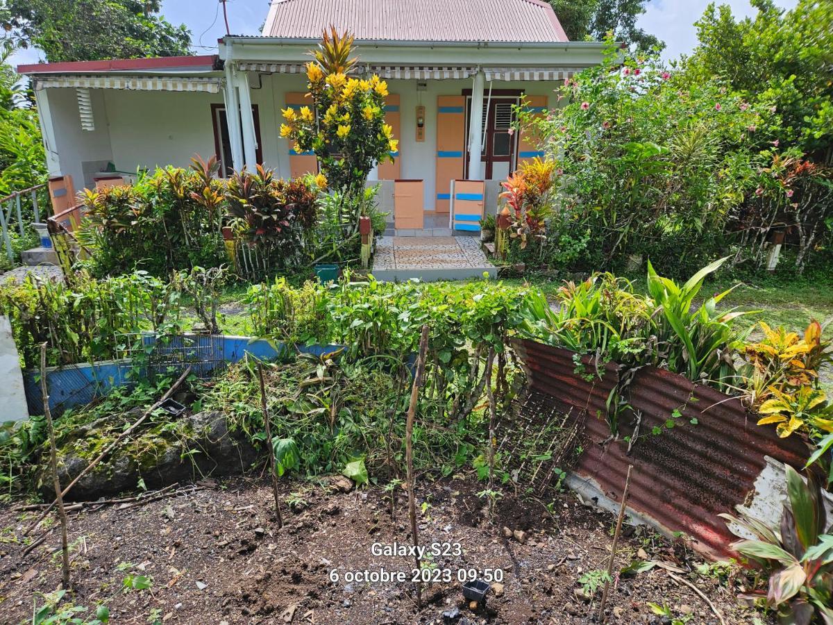 Maison Familiale Authentique Villa Capesterre-Belle-Eau Ngoại thất bức ảnh